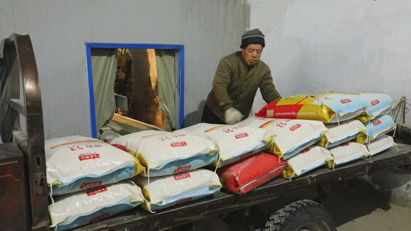 工人将种子装袋入库。集贤县委宣传部供图