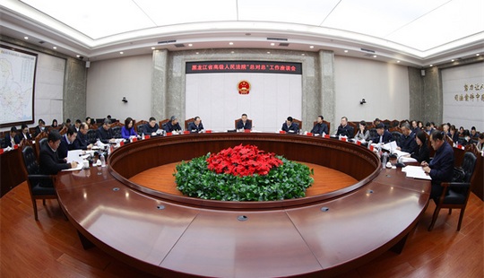 黑龍江省法院與14家合作單位召開“總對總”工作座談會