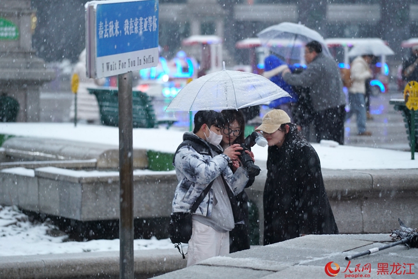 三月冰城，邂逅浪漫春雪