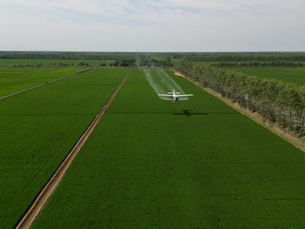 科技维持开发云南农业跨境宏大病虫草害绿色防控体例