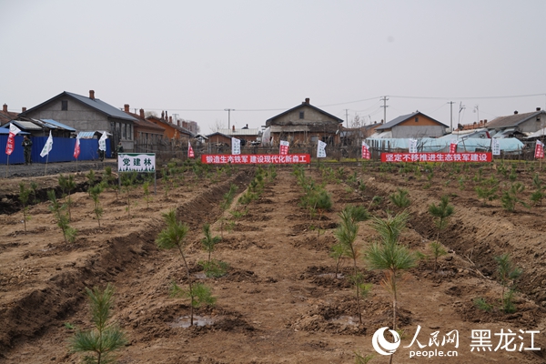 植树现场。人民网 徐成龙摄