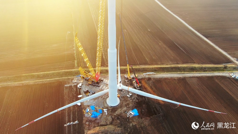 黑龍江呼瑪：100兆瓦風電項目首台風電機組成功吊裝