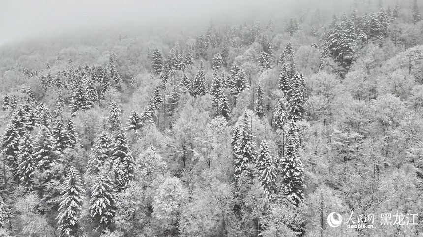 中国雪乡景区迎来今秋首场降雪