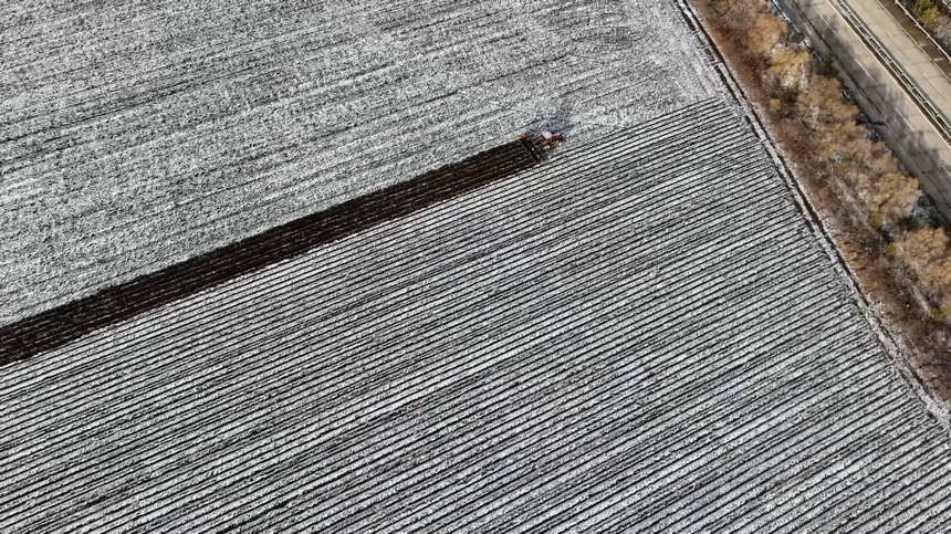黑河市爱辉区：“黑色越冬”助力沃土增地力