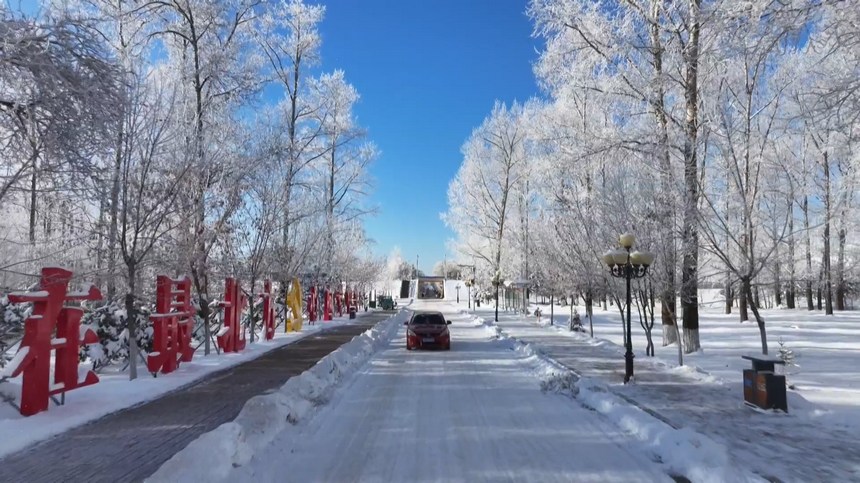黑龙江呼玛县出现雾凇美景