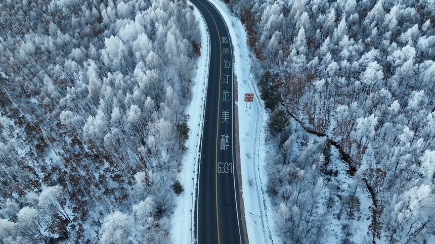 黑河市爱辉区迎来雾凇景观