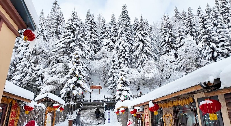 瞰龙江丨冬日雪景 诗情画意