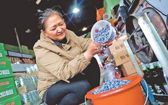 绿色宝库 底色更浓