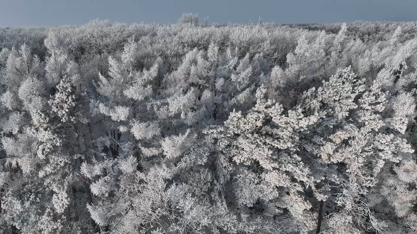 雞西密山：霧凇美景迎新春