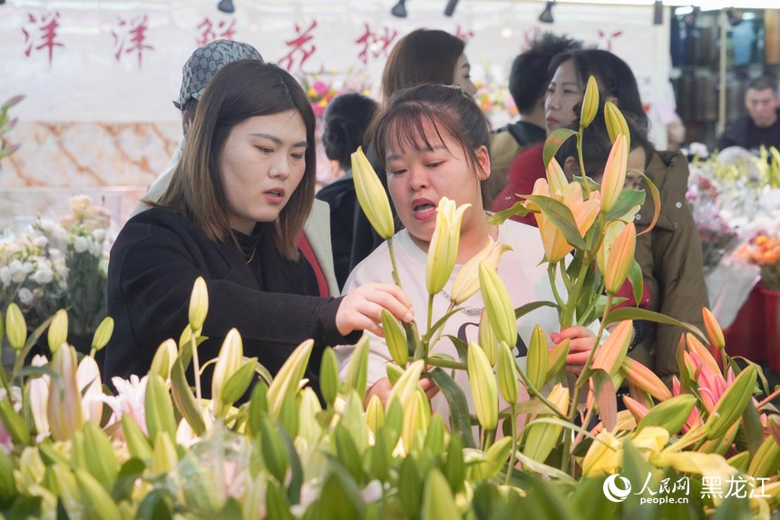 哈尔滨花卉市场“春意浓”