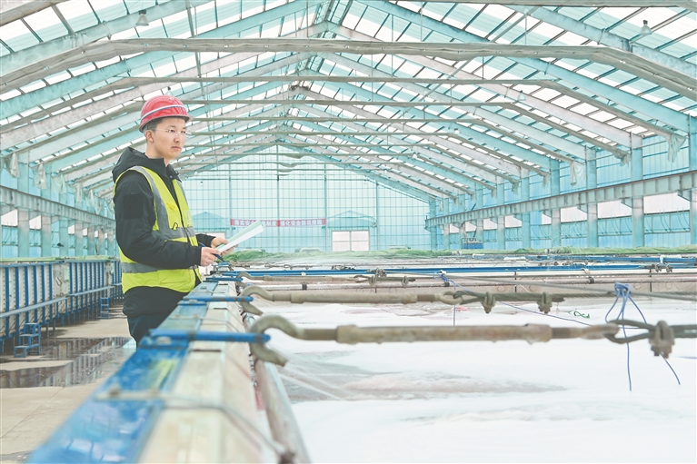 数控浸种催芽基地。