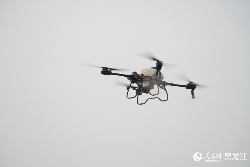 黑龙江低空经济按下“快进键” Q100农业植保无人机下线