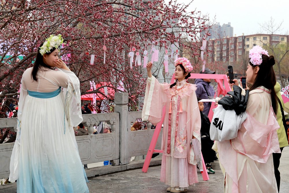 2025中国·佳木斯杏花游·十里江堤春游主题文化活动启幕