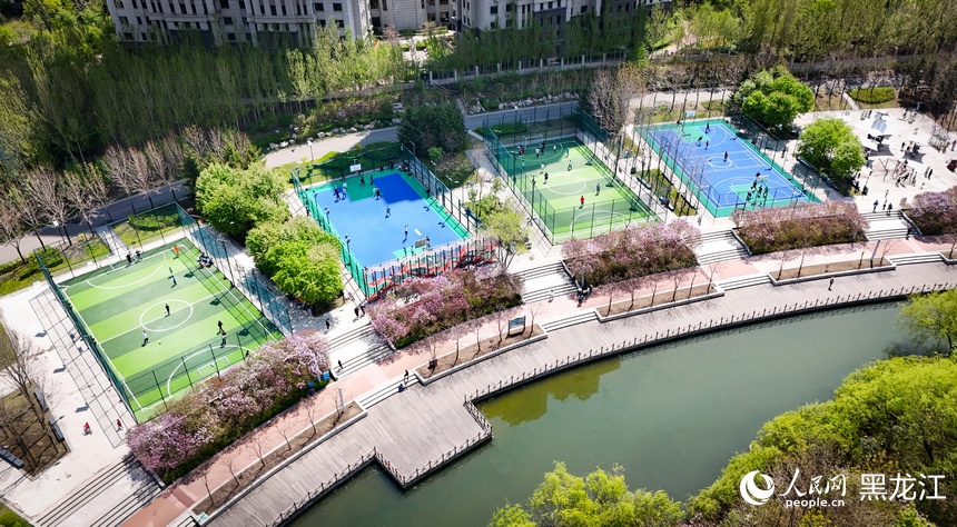 一起來鍛煉吧︱夏日冰城 燃動球場