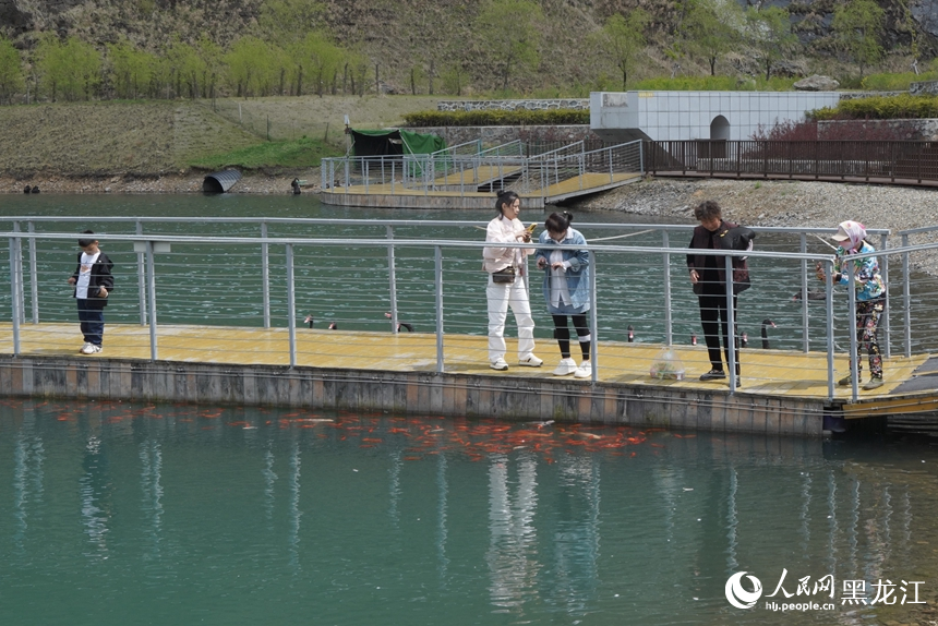 黑龙江宝清：生态转型扮靓百姓生活