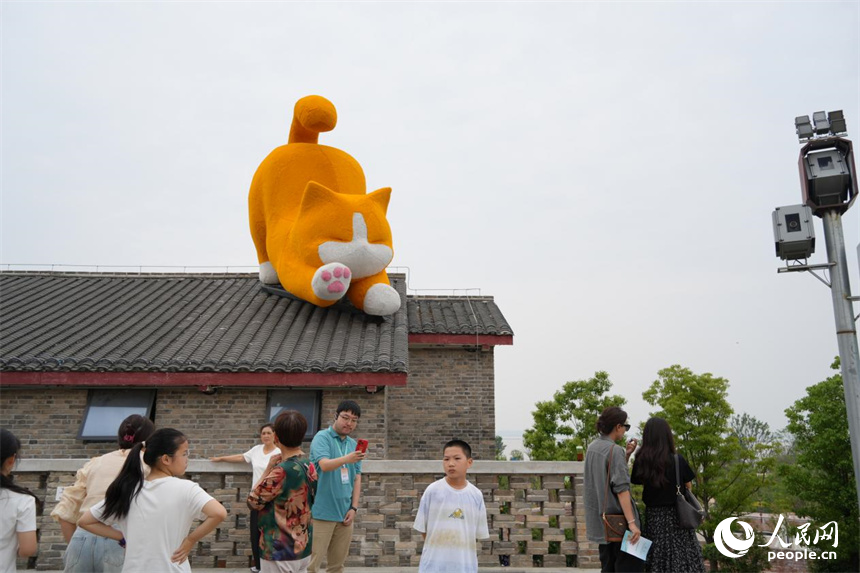 橘猫趴在屋顶憨态可掬。人民网 刘汕摄