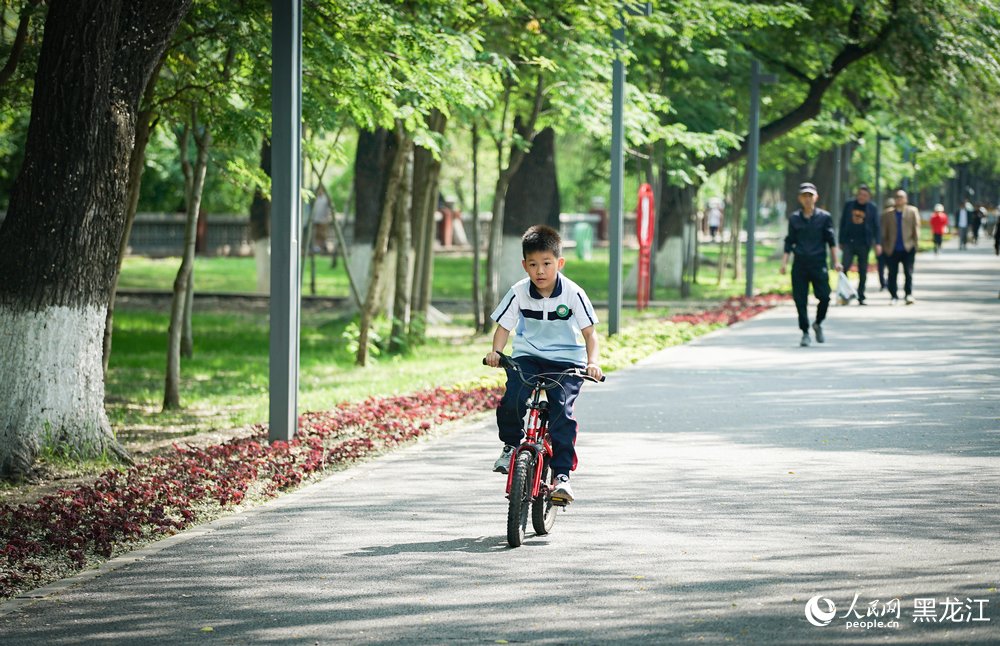 哈尔滨：缤纷夏日 畅享童趣