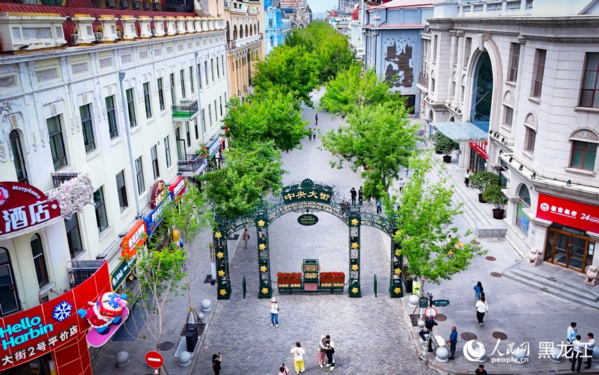 夏有涼風在冰城︱漫步老街 感受城市魅力