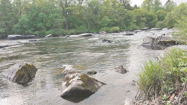 黑龍江省自然保護地景色。黑龍江日報記者 吳玉璽攝