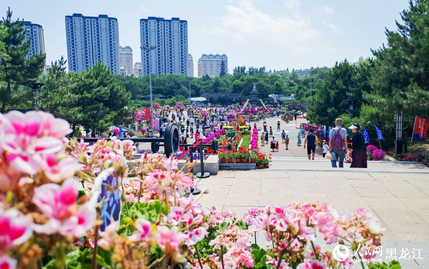 夏有凉风在冰城丨漫步花海 市民“闻香”来
