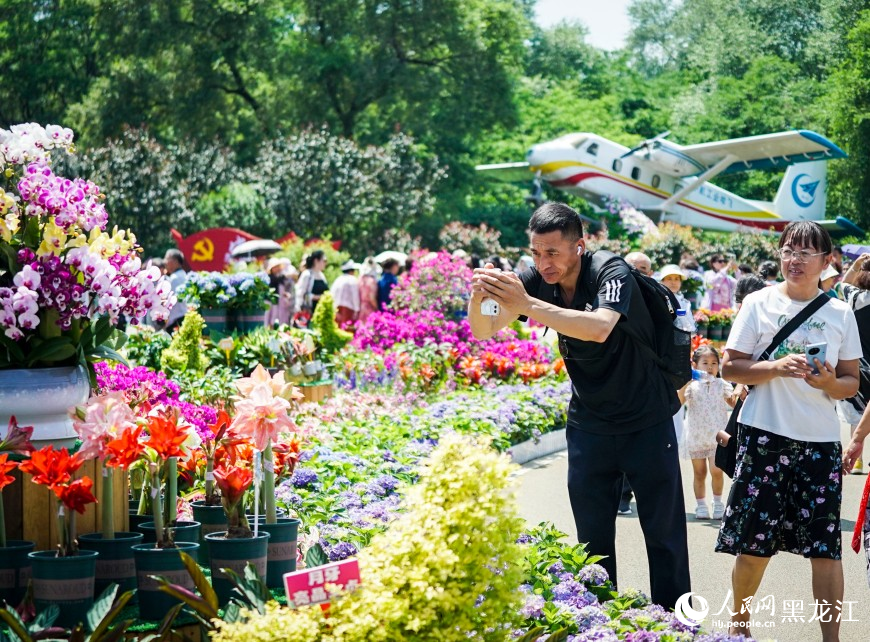 夏有凉风在冰城丨漫步花海 市民“闻香”来