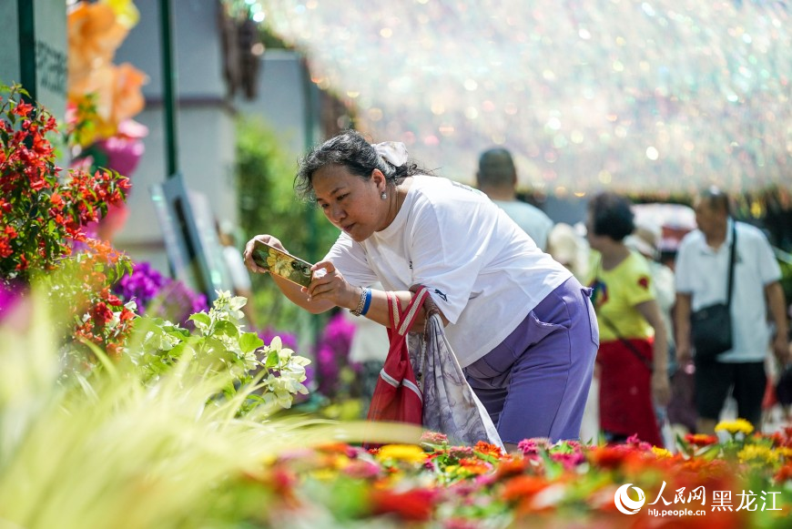 夏有凉风在冰城丨漫步花海 市民“闻香”来