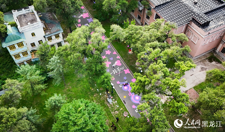 夏有涼風在冰城丨太陽島上邂逅“彩色浪漫”