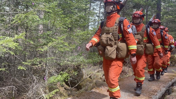 消防指战员正在林间巡护。伊春市森林消防支队供图