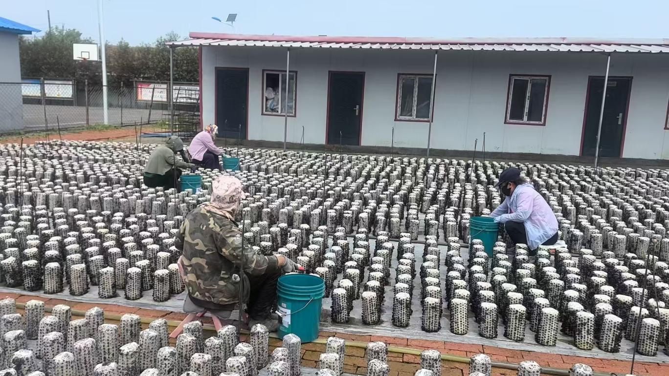 4ca06e787eb2f74de8ad0fb06cf300a9