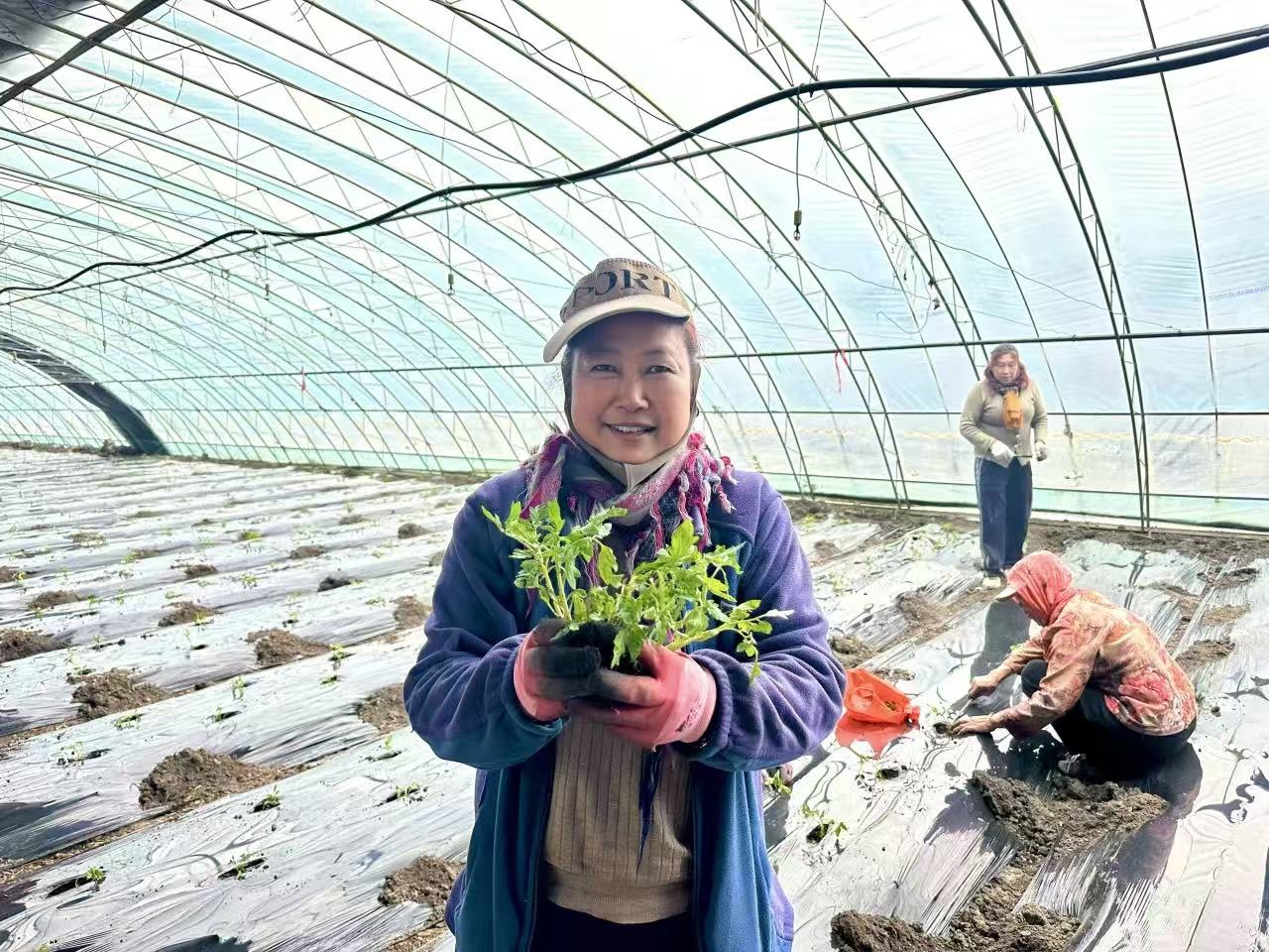 28eb2ef0e77a1765a1e62c2b3ac8fe6a