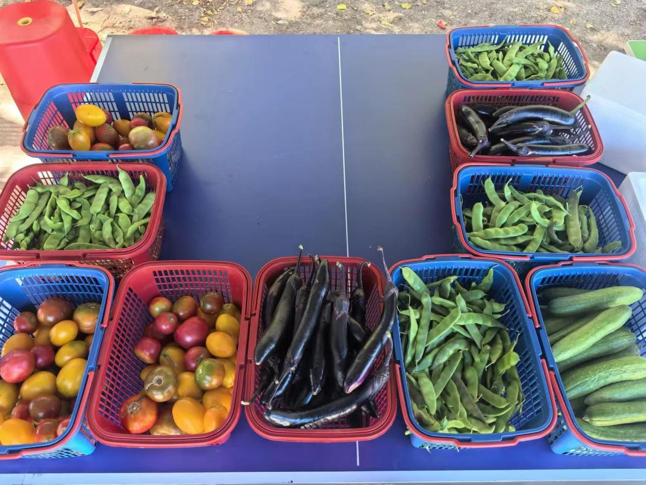 7fbfbd8f6369f9ab7ae70a83980594c9