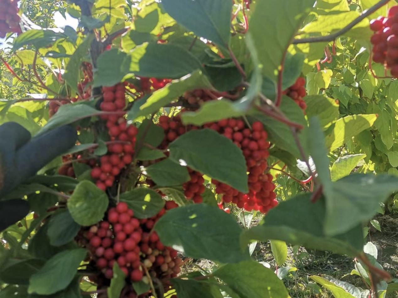 5d5e0c8ebe692a21dd07d009163969e