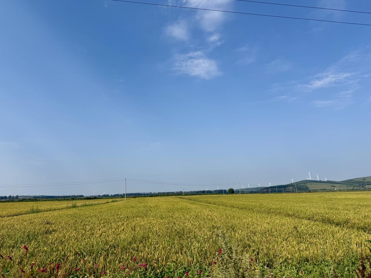 aaf645c0a1a8f1e8c04012543338417