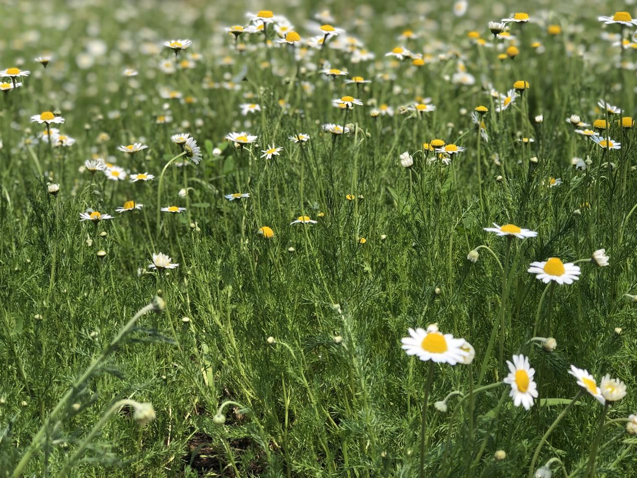 7ac0ea1efc48786f066b58fab8f5d6c