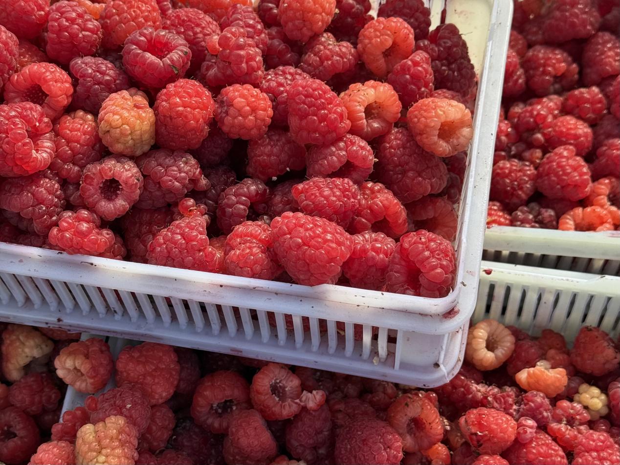 7371e45db440c9171d53cb5028ac60d