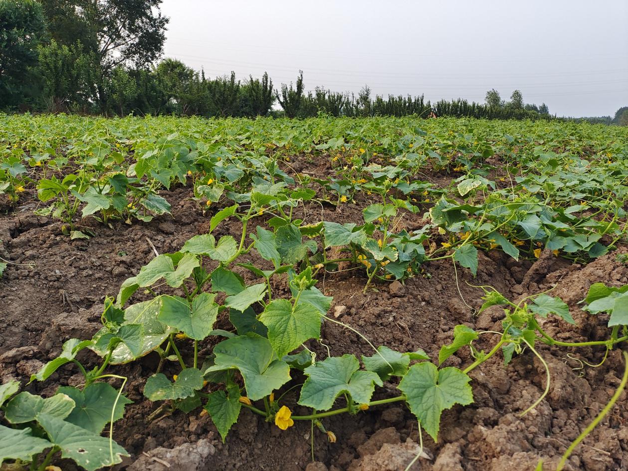 c2da63c68f35a8f10c307c00e3b846d