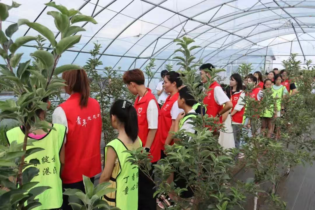 06dcfae6be1c13fd5bc90b38f5ee47cd