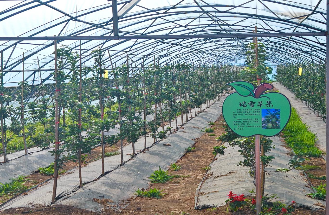 3e4dcd25b81728dce304b94ba144f5d2