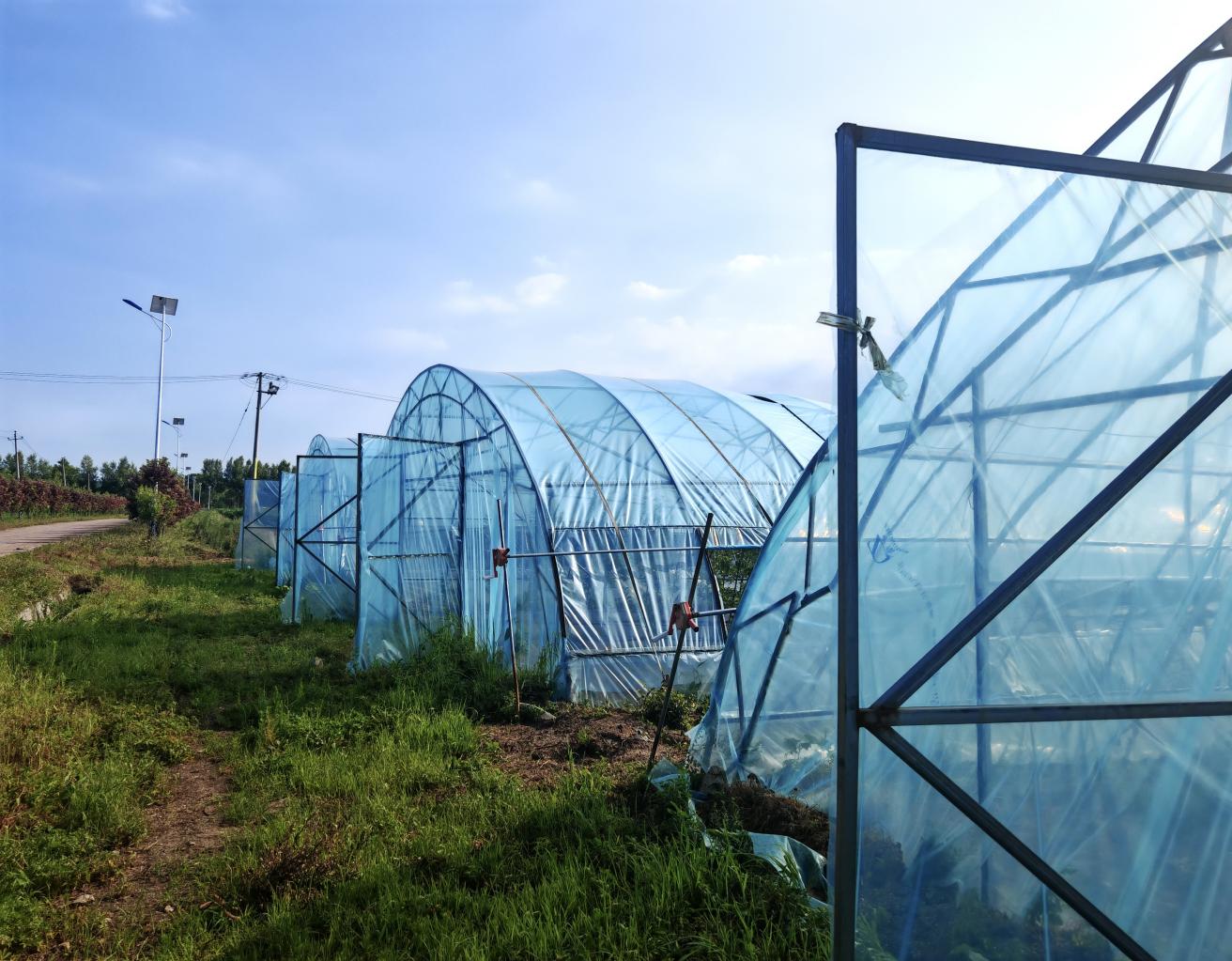 92598edffd8ee988bf977e596cd214fa