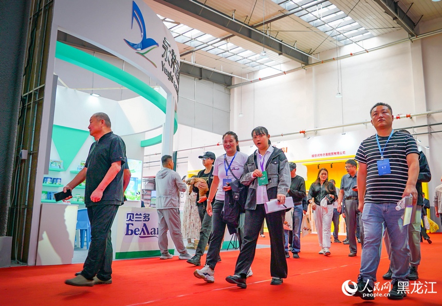 走！一起打卡“绥博会”