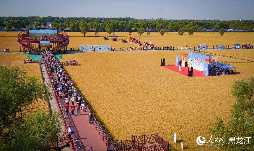2025年中国农民丰收节黑龙江省主场活动启幕