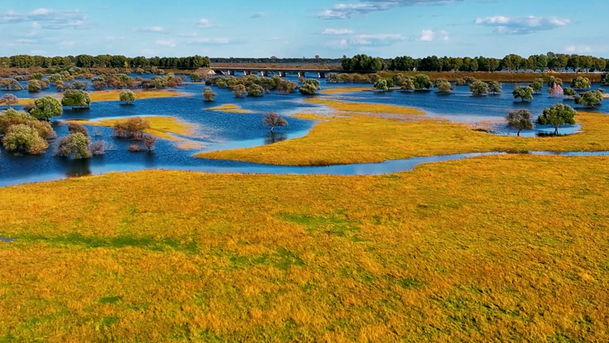 黑河市爱辉区：湿地公园勾勒炫美秋景