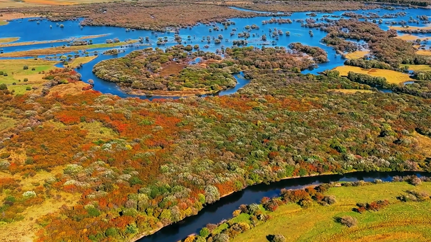 黑河市爱辉区：湿地公园勾勒炫美秋景