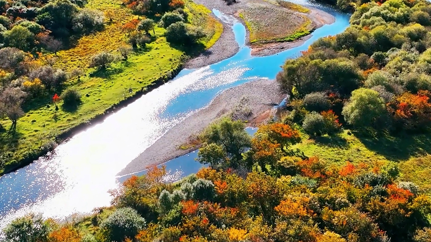 黑河市愛輝區：濕地公園勾勒炫美秋景