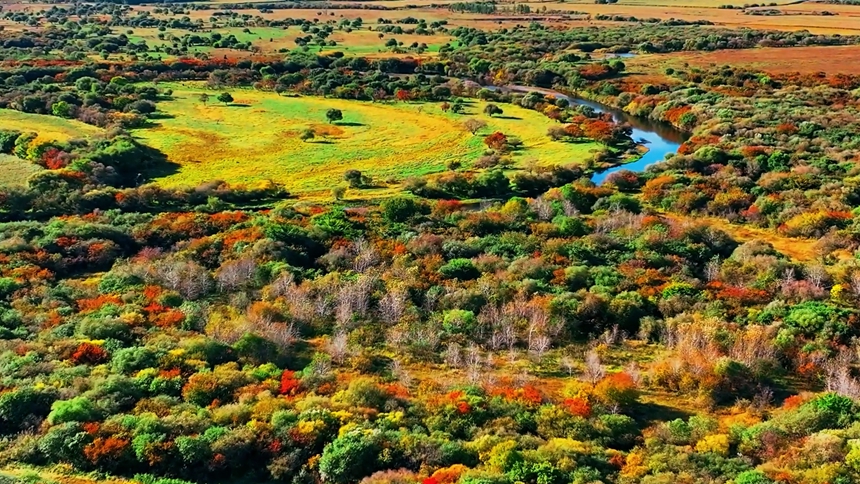 黑河市爱辉区：湿地公园勾勒炫美秋景
