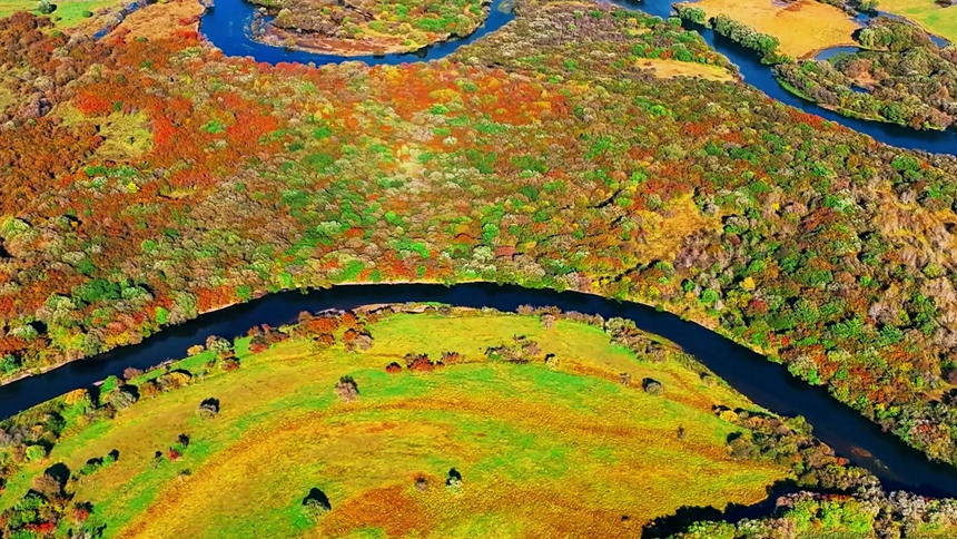 黑河市爱辉区：湿地公园勾勒炫美秋景