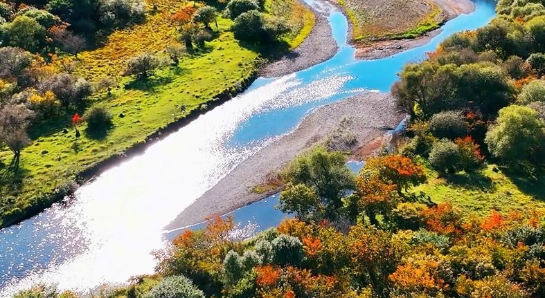 湿地公园勾勒炫美秋景