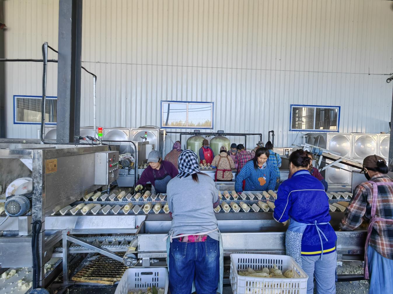 微信图片_20250925153346