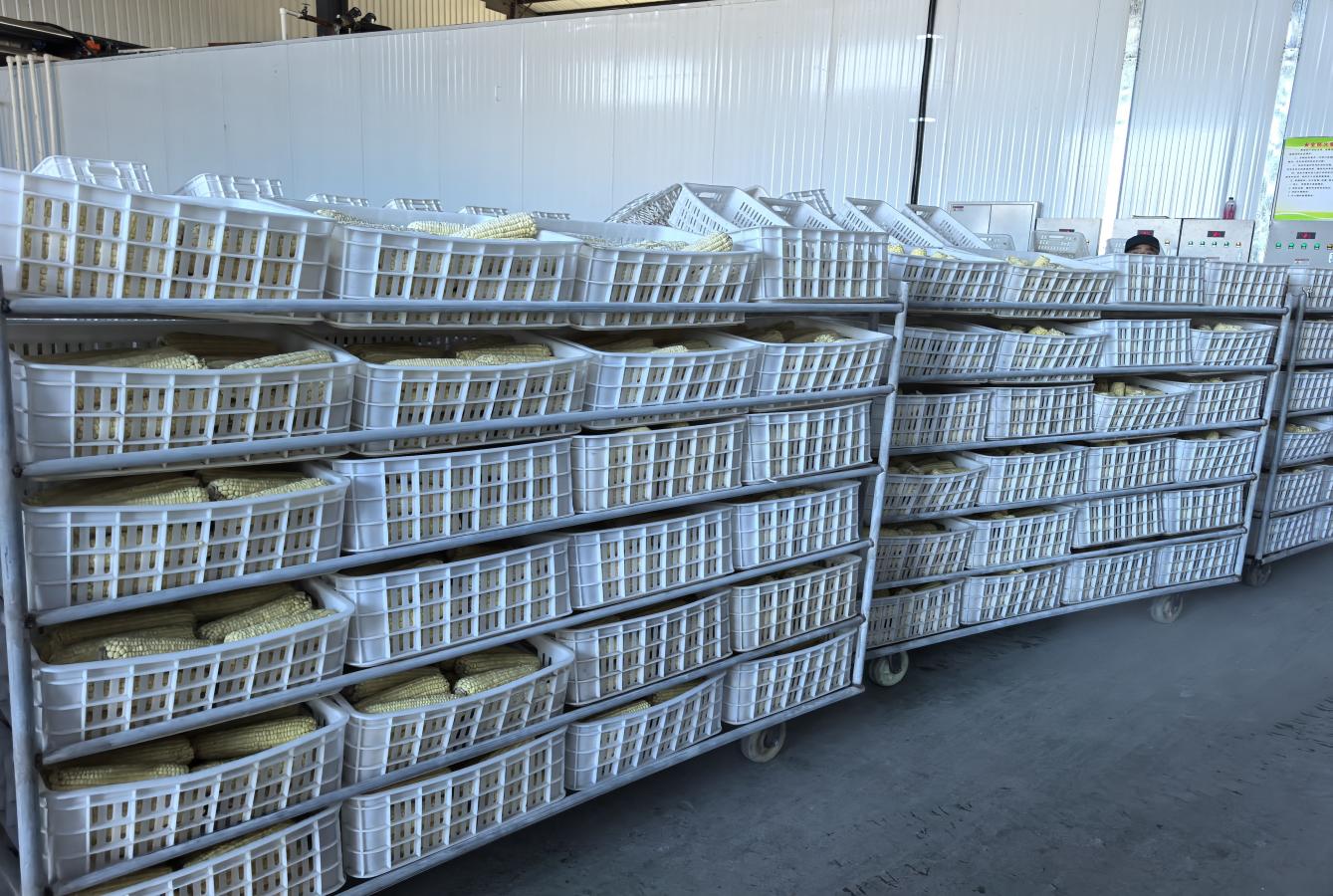 微信图片_20250925153328