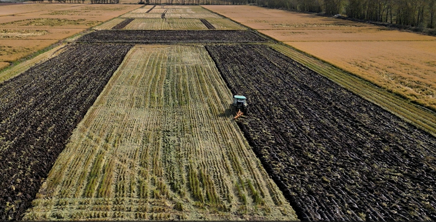 土地深翻“黑色越冬”。韩玉红摄